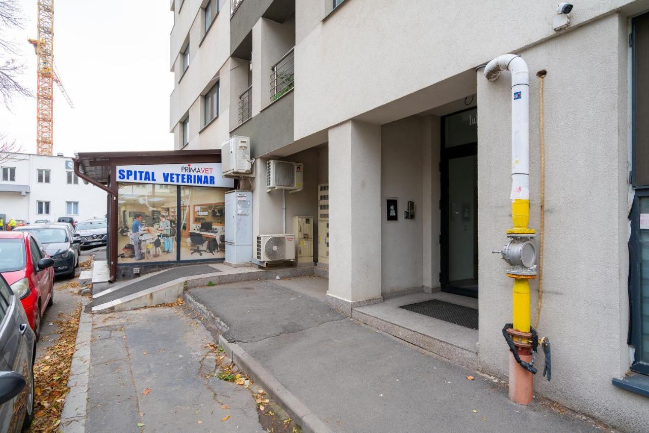 Lujerului Studio Bucharest Exterior photo